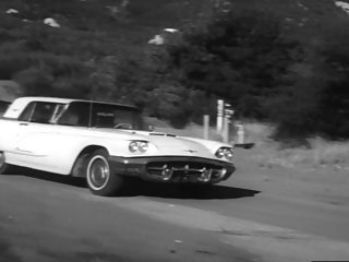 As fêmeas torturados (1965)