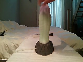 sopping plaything drove 2