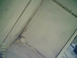 نیو ورلڈ کپ کے 18