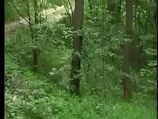 Jebacina NA Avali صربی Srpski سے KRMANJONAC