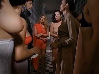 ティント・ブラスにより、パプリカ（1991）